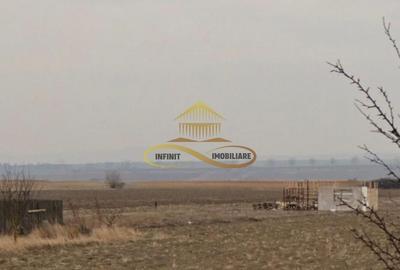 Teren de 1000 mp, în Săucești