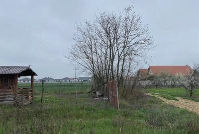 Teren de 5000 mp, în Lazuri - 2