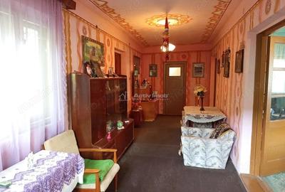 Casă cu Teren 1439 Mp în Brădișoru de Jos - 1