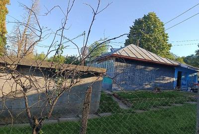Casă cu 3 camere cu Teren 1400 Mp în Probota
