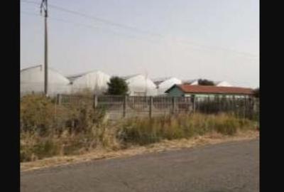 Spațiu industrial, de 7,300 mp, în Uivar