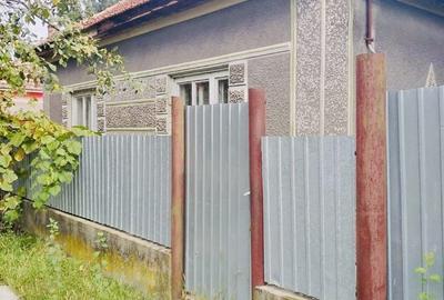 Casă cu 3 camere în Șepreuș - 1