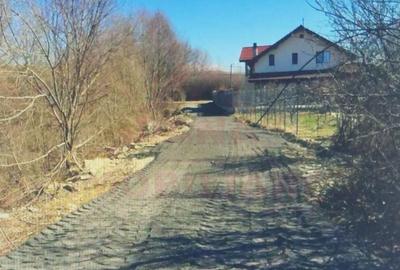 Teren Construcții intravilan de 4900 mp, în Nord-Vest - 4