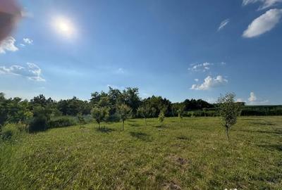 Teren în Valea Lupului