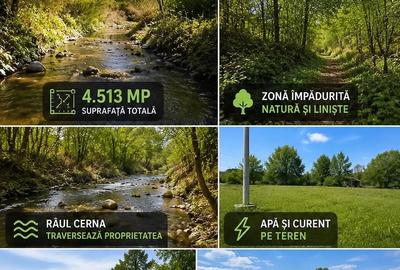 Teren de 4513 mp, în Slătioara
