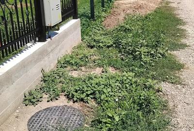 Teren de 808 mp, în Țuțora