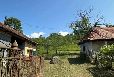 Casă cu 3 camere în Cuieș - 1