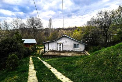 Casă individuală cu 4 camere cu Teren 2500 Mp în Podul Vadului - 2