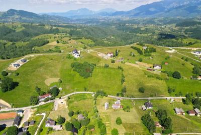 Teren Construcții intravilan de 13000 mp, în Șirnea - 6