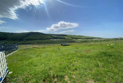 Teren de 642 mp, în Betfia - 1