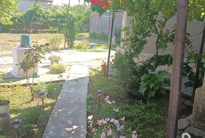 Casă cu 4 camere în Mihail Kogălniceanu - 1