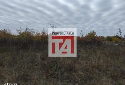 Teren de 2476 mp, în Tăuții-Măgherăuș