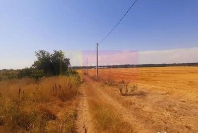 Teren de 2000 mp, în Brănești - 4