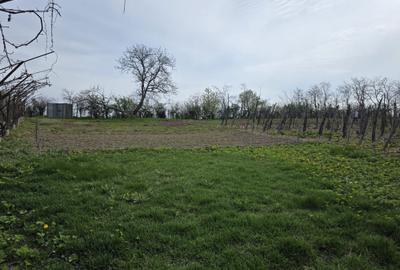 Casă cu 3 camere în Secuieni - 6