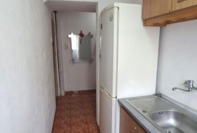 Apartament cu 2 camere semidecomandat, mobilat în Banat - 10