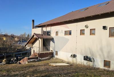 Spațiu comercial, de 424 mp, în Udești - 34