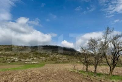 Teren de 1500 mp, în Central - 3