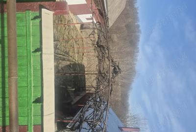 Casă cu Teren 2000 Mp în Preutești - 5