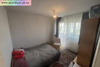 Apartament cu 4 camere decomandat, mobilat în Malu Roșu - 12