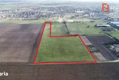 Teren de 20000 mp, în Pădureni - 4
