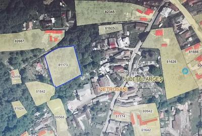 Teren de 3350 mp, în Pietroșani - 1