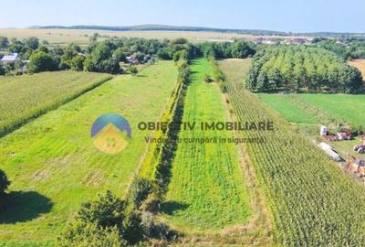 TEREN intravilan 6764 mp DRAGOMIRESTI - VAD - 3