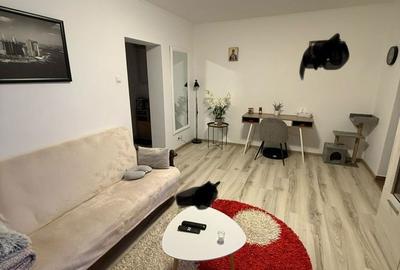 Apartament cu 2 camere semidecomandat în Tătărași - 8
