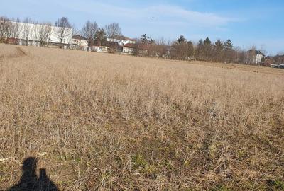 Teren Construcții intravilan de 3500 mp, în Zvoriștea - 3