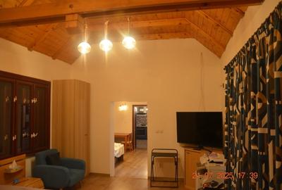 Casă individuală cu 4 camere cu Teren 1458 Mp în Paleu - 14