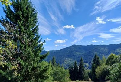 Casă cu 3 camere în Brodina - 6
