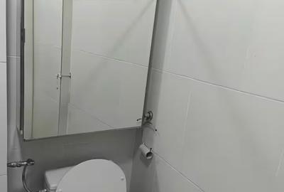 Splaiul Independentei, Regie, apartament 2 camere - 8