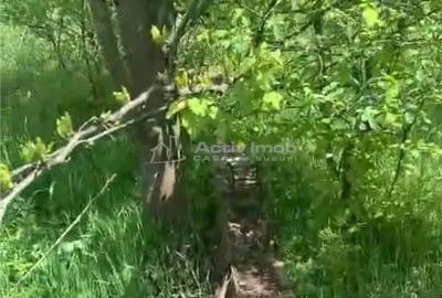 Teren de 500 mp, în Găneasa - 1