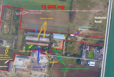 Domeniu - Centru de colectare, 7 ha de vanzare in Valea lui Mihai - 3