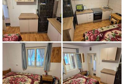 Casă cu 2 camere cu Teren 3052 Mp în Uliești - 18