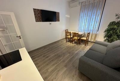 Casa Lipovei transformata in SAD - 3