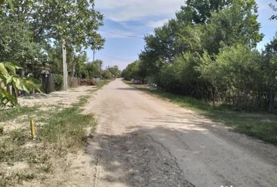 Teren de 4975 mp, în Belciug - 15