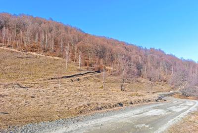 22.206 mp (2,2 Ha) TEREN INTRAVILAN SUPERB CU PEISAJ PANORAMIC, NEGRENI - CLUJ - 3