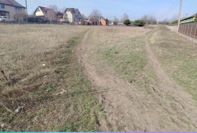 Teren de 5000 mp, în Podu Roș