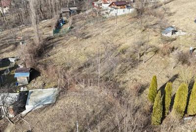 Teren de 1626 mp, în Slănic - 5