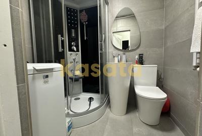 Apartament cu 3 camere decomandat, mobilat în Drumul Taberei - 15