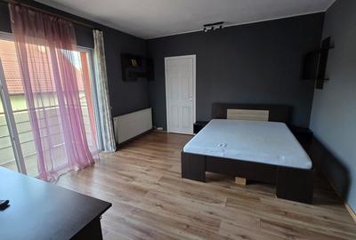 Garsonieră decomandată în Dosu Bricii - 1