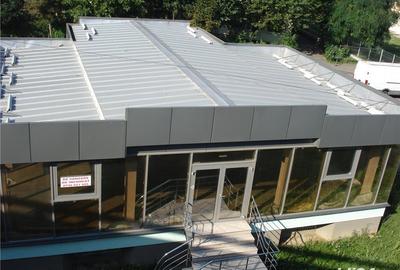 Spațiu comercial, de 200 mp, în Narcisa - 2