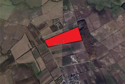 Teren de 450000 mp, în Corbeanca - 3