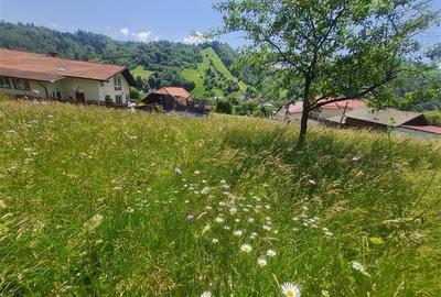 FILM!View superb catre munti,teren pretabil constructie Hotel,4.400 mp, Moieciu - 32
