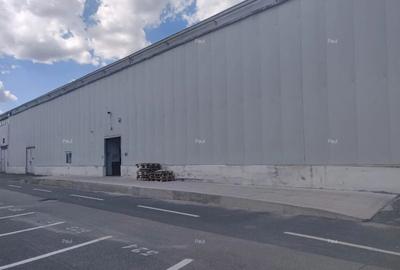 Spatiu de depozitare si productie zona Aviatiei - 2