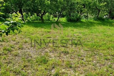 Teren la liziera padurii! - 5