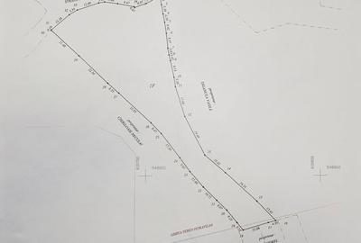Teren de 4164 mp, în Coman - 1