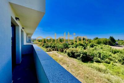 PADUREA BANEASA/2 BAI/SPATII GENEROASE/LUMINOS - 1