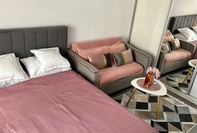 Garsonieră decomandată în Dristor - 2