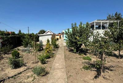 Casa 3 camere - Lumina - 94.000 euro (Cod E2) - 13
